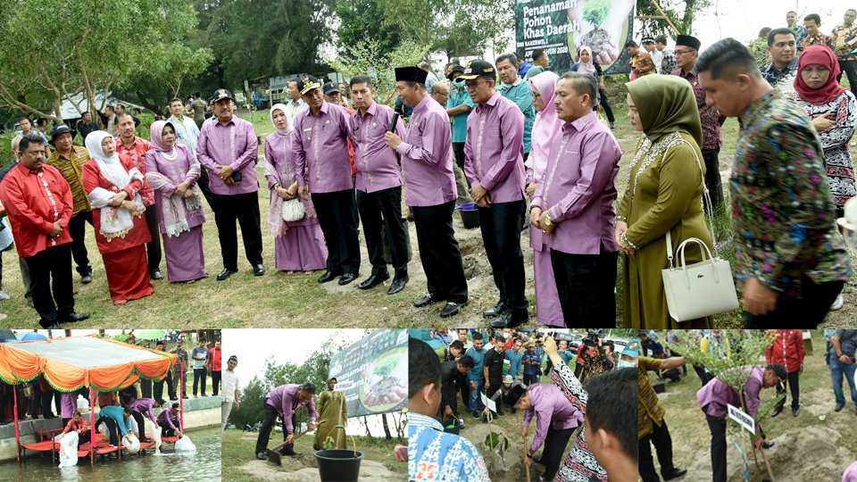 Walikota se Komwil I APEKSI, Tanam Pohon khas Daerah masing-masing di Talao Pauh Pariaman